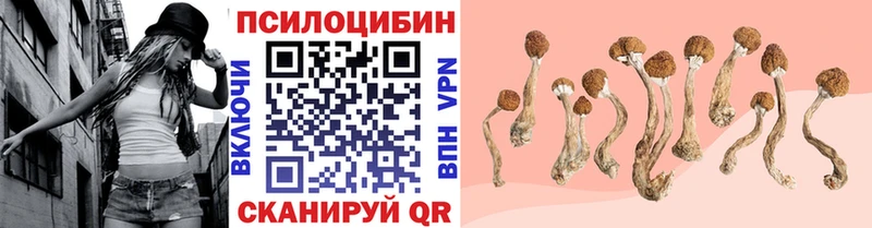 купить наркоту  Пустошка  Псилоцибиновые грибы Magic Shrooms 